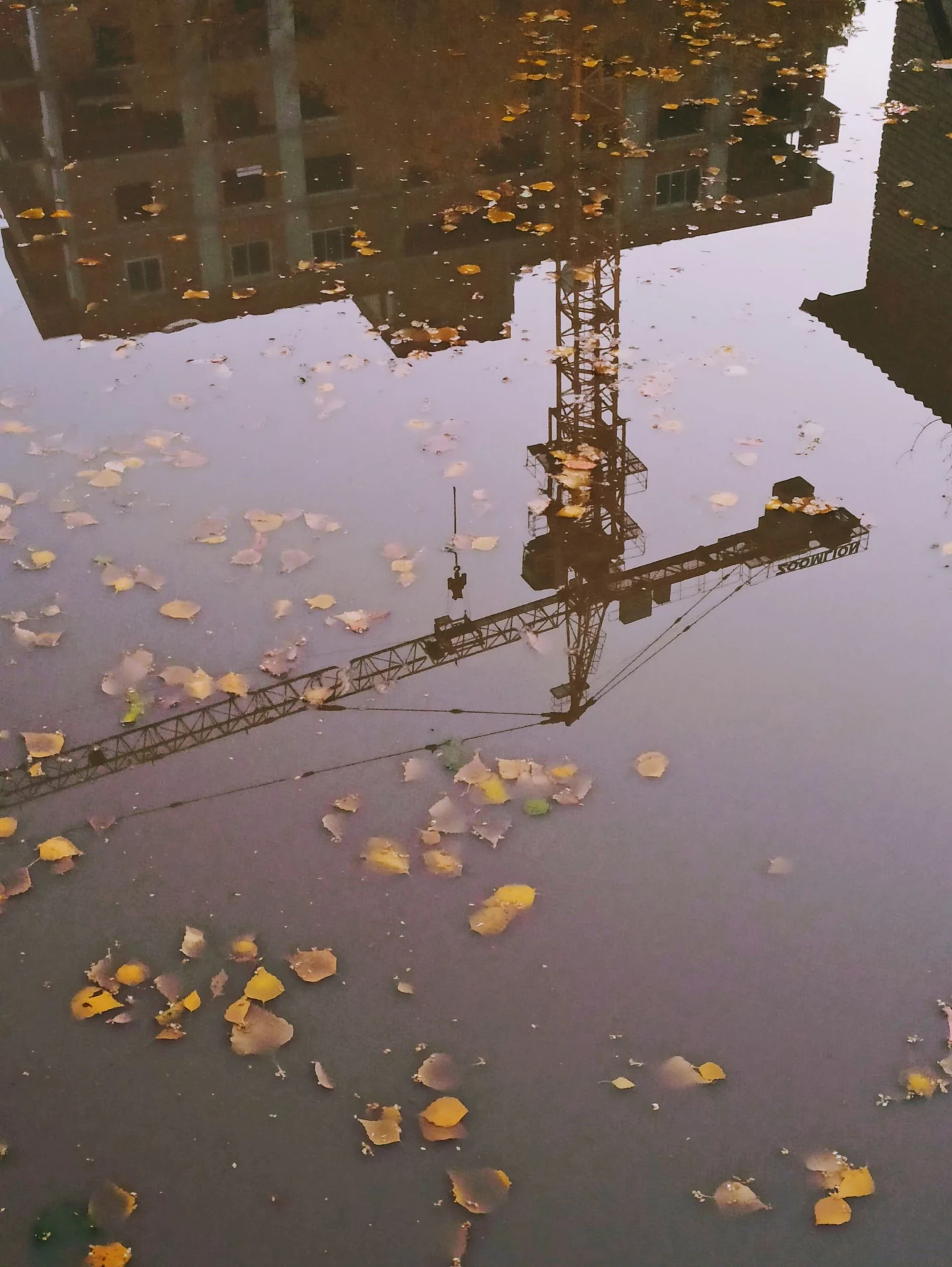 Construction crane and building reflected in a rainwater puddle